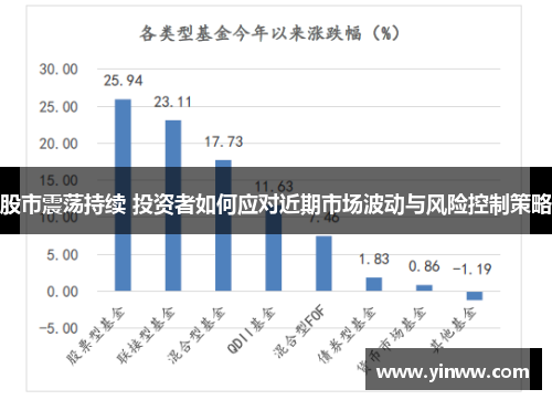 股市震荡持续 投资者如何应对近期市场波动与风险控制策略